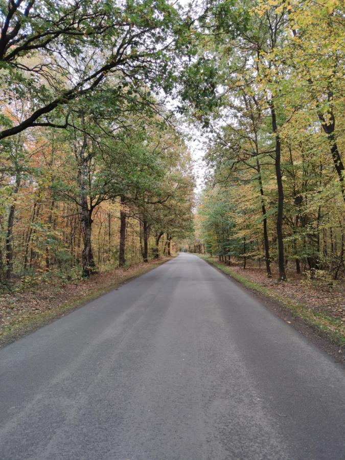 Landbrise Villa Petersfeld Kültér fotó