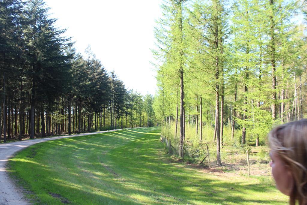 Landbrise Villa Petersfeld Kültér fotó